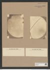 Coscinodiscus gazellae Jan. (de-Toni-Nr.: Genus 202, Species 5029) Zeichnungen Sammlung Grunow Nr. 8751 (NHMW-BOT-W0378339)